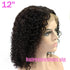 Curly Lace Front Wig 12 inch Black Color