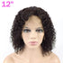 Curly Lace Front Wig 12 inch Black Color